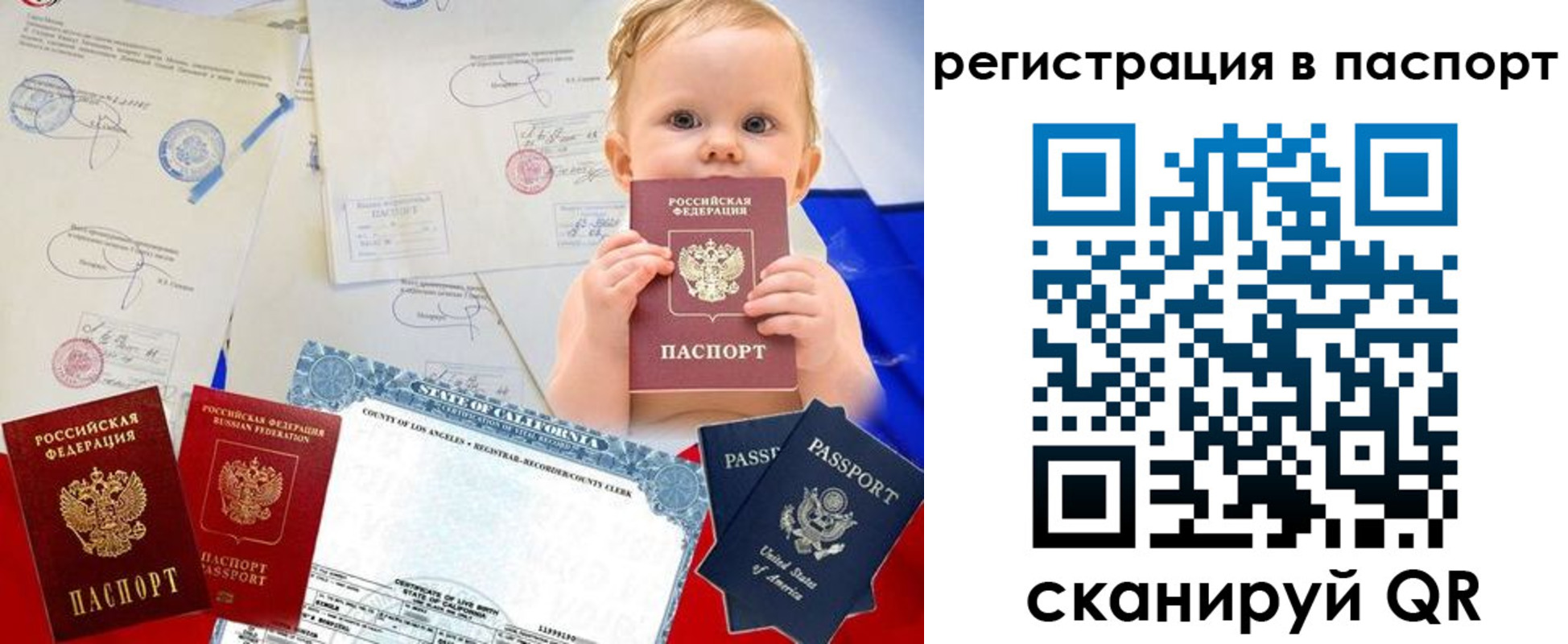 прописка гарантия в Хабаровске
